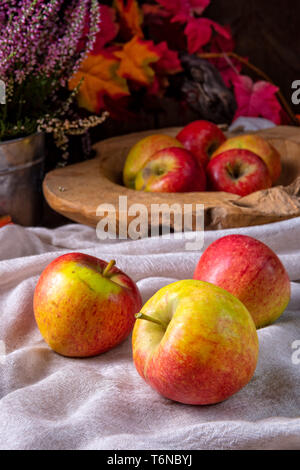 Malus sylvestris, la gustosa Unione crab apple, Foto Stock