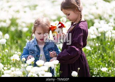 Due sorelle nel campo sono a caccia di fiori Foto Stock