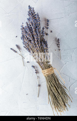 Secchi fiori di lavanda su sfondo bianco Foto Stock