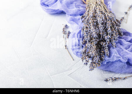 Secchi fiori di lavanda su sfondo bianco Foto Stock