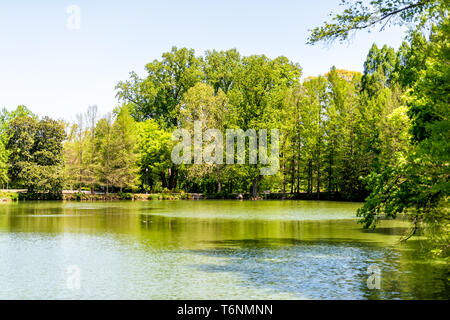 Atlanta, Stati Uniti d'America Piedmont Park in Georgia downtown con alberi verdi in zona panoramica con laghetto lago Clara Meer Foto Stock