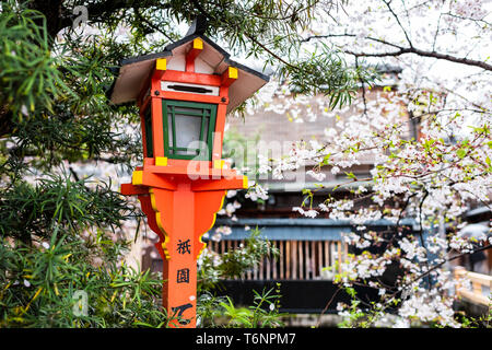 Kyoto, Giappone quartiere Gion con la fioritura dei ciliegi sakura alberi in primavera con fiori che sbocciano in giardino e parco lanterna arancione lampada durante il giorno Foto Stock