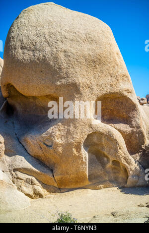 Un teschio Rock a Joshua Tree National Park, California Foto Stock