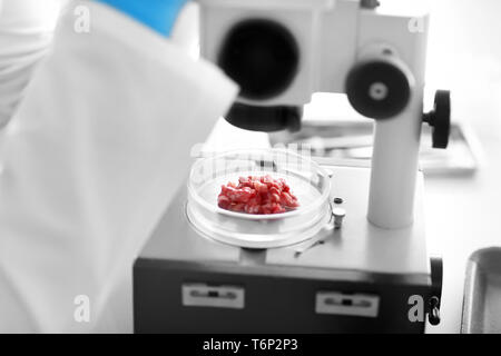 Scienziato usando microscopio per esaminare il campione di carne in laboratorio Foto Stock