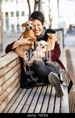 Donna seduta a ridere con i suoi tre cani su un banco di lavoro, Pinscher in miniatura e due i Chihuahua, Nord Reno-Westfalia, Germania Foto Stock