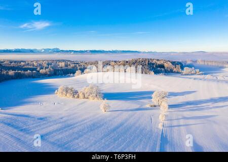 Paesaggio invernale, area forestale con catena alpina, vicino Munsing, Funfseenland, drone shot, prealpi, Alta Baviera, Baviera, Germania Foto Stock