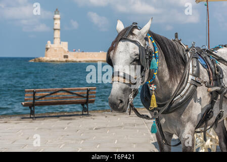 Faro di Chania con un cavallo Foto Stock