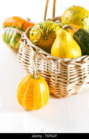 Mini zucche Foto Stock