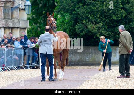 Badminton, Gloucestershire, UK. 02Maggio, 2019. Tim prezzo. NZL. Bango. Di trotto. Mitsubishi Motors Badminton Horse Trials. Rolex Grand Slam evento. Horse Trials. Eventing. Badminton. Gloucestershire. Regno Unito. GBR. {01}/{05}/{2019}. Credito: Sport In immagini/Alamy Live News Foto Stock