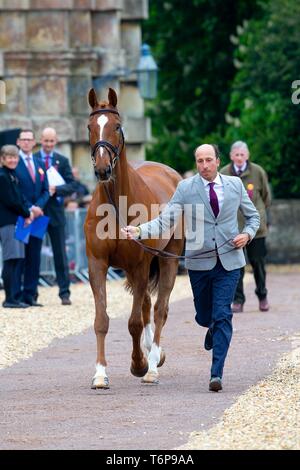 Badminton, Gloucestershire, UK. 02Maggio, 2019. Tim prezzo. NZL. Bango. Di trotto. Mitsubishi Motors Badminton Horse Trials. Rolex Grand Slam evento. Horse Trials. Eventing. Badminton. Gloucestershire. Regno Unito. GBR. {01}/{05}/{2019}. Credito: Sport In immagini/Alamy Live News Foto Stock