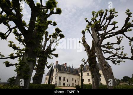 Parigi. Il 1 maggio, 2019. Foto scattata il 1 Maggio 2019 mostra il Chateau d'Amboise dove la tomba di Leonardo da Vinci è risolta in Amboise, Francia. Giovedì segna il Cinquecentesimo anniversario della morte del maestro del Rinascimento Leonardo da Vinci. Il famoso pittore, scultore, scrittore, inventore, scienziato e matematico trascorse i suoi ultimi tre anni in Amboise come ospite di Francia il re Francesco I. Credito: Gao Jing/Xinhua/Alamy Live News Foto Stock