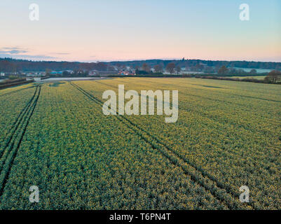 Bella drone antenna immagine paesaggio di campagna Englsh presso sunrise in primavera sulla colza campi di canola Foto Stock