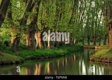 Piano-rigato canal, su un ramo del Canal du Midi, Languedoc, Francia Foto Stock