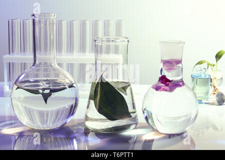 Diversi articoli di vetreria di laboratorio con piante su tavola Foto Stock