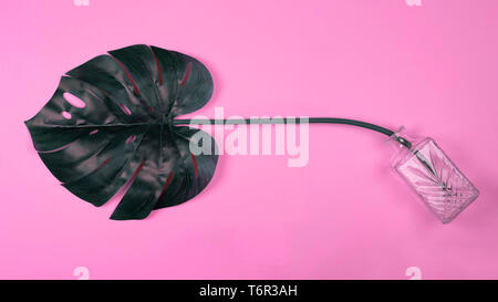 Verde Tropical monstera foglia in vaso su sfondo rosa. Arte surrealismo concept Foto Stock
