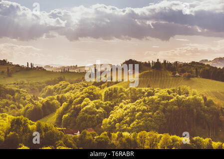 Sulztal, Stiria, Austria. Vigneti Sulztal destinazione famosa strada del vino area a sud la Stiria , wine country in primavera. Destinazione turistica. Green Hill Foto Stock
