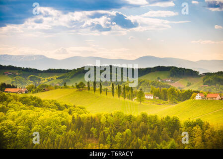 Il sud della Stiria paesaggio di vigneti, vicino Gamlitz, Austria, Eckberg, l'Europa. Colline di uva vista dalla strada del vino in primavera. Destinazione turistica, spot di viaggio. Foto Stock