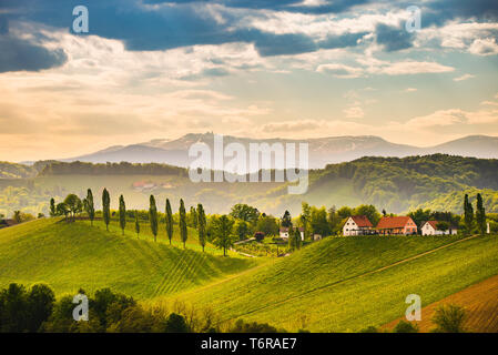 Il sud della Stiria paesaggio di vigneti, vicino Gamlitz, Austria, Eckberg, l'Europa. Colline di uva vista dalla strada del vino in primavera. Destinazione turistica, spot di viaggio. Foto Stock