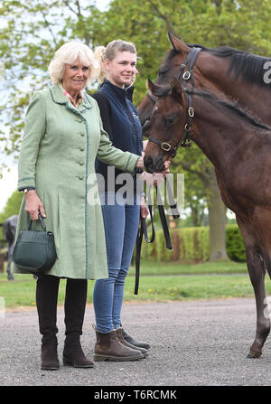 La duchessa di Cornovaglia con un mare di nome Royal Rascal e i suoi sei settimane di puledro durante una visita alla National Stud di Newmarket. Foto Stock