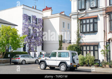 Il Glicine su una casa in luogo di inscatolamento, Kensington, Londra, Inghilterra Foto Stock