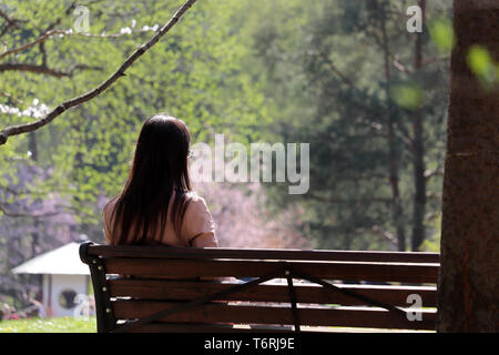 Ragazza con gli occhiali si siede su una panca di legno in una molla giardino giapponese durante la fioritura dei ciliegi stagione, in vista posteriore Concetto di sognare, umore romantico Foto Stock