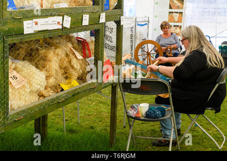 Dimostrazione di filatura e tessitura (2 donne) da lana presenta (prize-winning pile & certificati) - Grande spettacolo dello Yorkshire, Harrogate, Inghilterra, Regno Unito. Foto Stock