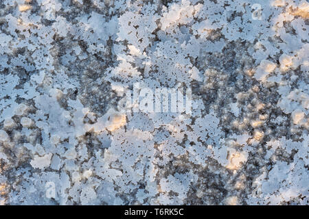 Close up di sale delle pianure di sale del Lago Asale nella depressione di Danakil in Etiopia in Africa Foto Stock