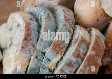 Ammuffito le fette di pane sul tagliere di legno.ammuffito cibo immangiabile. Foto Stock