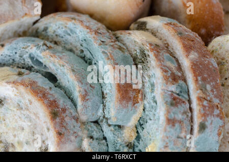 Ammuffito le fette di pane sul tagliere di legno.ammuffito cibo immangiabile. Foto Stock