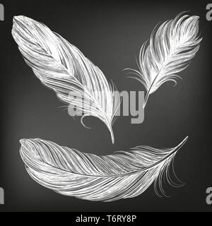 Piume bianco impostare collezione disegnata a mano illustrazione vettoriale sketch, disegnati in gesso su una lavagna nera Illustrazione Vettoriale