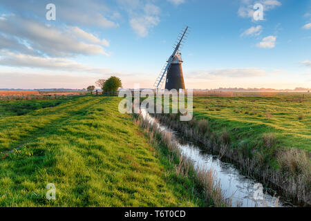 Il mulino a vento di Halvergate vicino a Great Yarmouth nel Norfolk Broads, noto anche come carni di montone's Mill Foto Stock