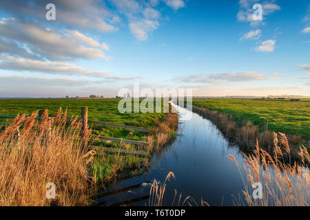 Guardando fuori al mulino Halvergate su Berney paludi in Norfolk Broads vicino a Great Yarmouth, noto anche come carni di montone's Mill Foto Stock