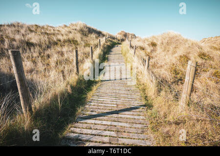 Una passerella di legno/sentiero si snoda attraverso dune coperte di erbe spontanee presso il West Beach Riserva Naturale in Littlehampton, West Sussex, Regno Unito. Foto Stock