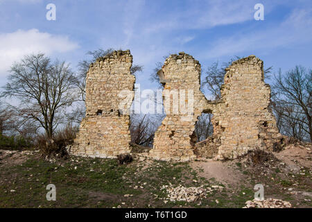 I resti del castello di Pravda, Usti nad Labem Regione, Repubblica Ceca Foto Stock