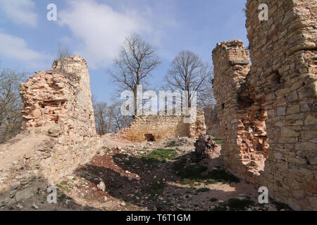 I resti del castello di Pravda, Usti nad Labem Regione, Repubblica Ceca Foto Stock