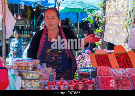 Chiang Mai, Thailandia - DIC 2015: Signora vende fragole al mercato locale al villaggio hmong Foto Stock