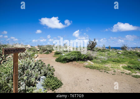 Alto Vista giardini della Chiesa sull'isola di Aruba Foto Stock