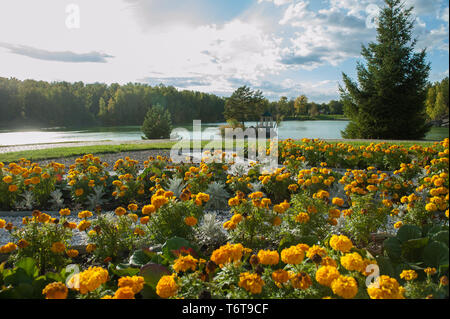 Estate paesaggio del lago con cristallo e acqua fresca Aya Foto Stock