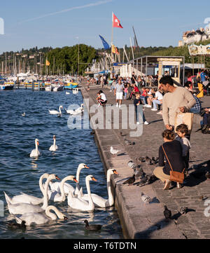 26 ago 2018. Ginevra, Svizzera. Famiglia giovane alimentare cigni bianchi, piccioni e anatre presso la marina della citta'. Foto Stock