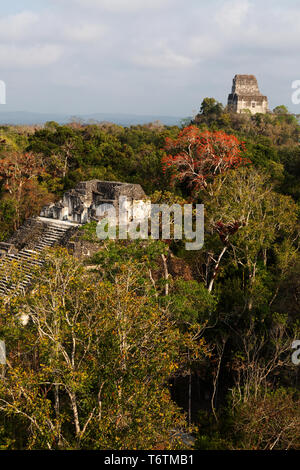 Tikal in Guatemala, in vista del tempio vi dalla sommità del Mundo Perdido piramide, Parco Nazionale di Tikal, Tikal, Guatemala America Centrale Foto Stock