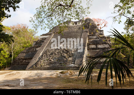 Tikal Guatemala tempio; Mundo Perdido o il Mondo Perduto tempio, il Parco Nazionale di Tikal rovine maya sito patrimonio mondiale dell'UNESCO, Guatemala America Centrale Foto Stock