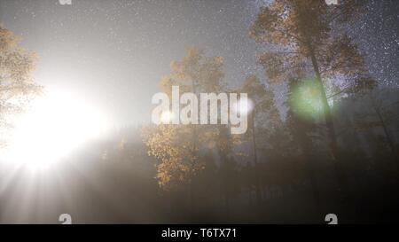 Via Lattea stelle con moonlight al di sopra di foresta di conifere Foto Stock