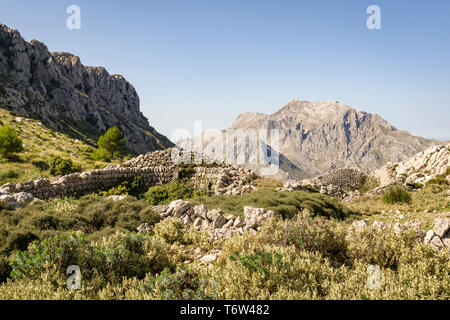 Sulla GR 221. Il lungo percorso di distanza sopra la Serra de Tramuntana, chiamato anche in pietra a secco, rotta in West-Mallorca, Spagna Foto Stock