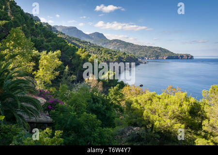 Sulla GR 221. Il lungo percorso di distanza sopra la Serra de Tramuntana, chiamato anche in pietra a secco, rotta in West-Mallorca, Spagna Foto Stock