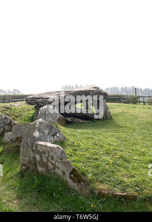 Arthur la pietra del neolitico - camera di sepoltura fatto di grandi lastre di pietra, impostare nelle colline sopra Herefordshire Golden Valley. Aprile 2019 Foto Stock