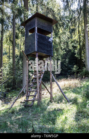 Seduta alta nella foresta Foto Stock