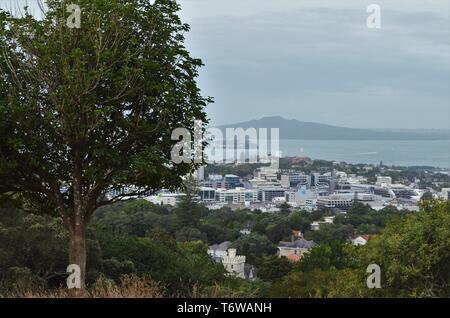 Monte Eden con una vista a Rangitoto Island, Nuova Zelanda Foto Stock