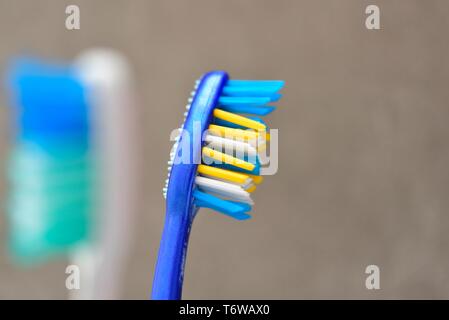 Spazzolino da denti blu,blu,giallo e setole bianche Foto Stock