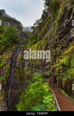 Risco levada in Madeira Portogallo Foto Stock