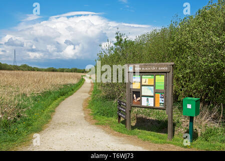 Il pannello delle informazioni a Blacktoft Sands, RSPB Riserva Naturale, East Yorkshire, Inghilterra, Regno Unito Foto Stock